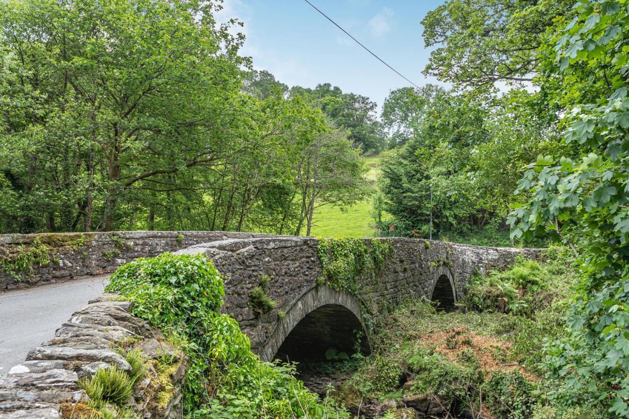 Waedog Bach Villa Llanfor Dış mekan fotoğraf
