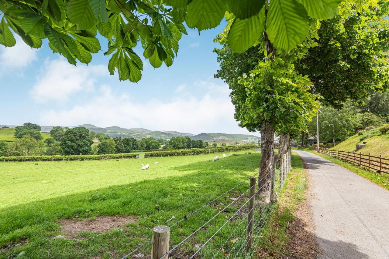 Waedog Bach Villa Llanfor Dış mekan fotoğraf
